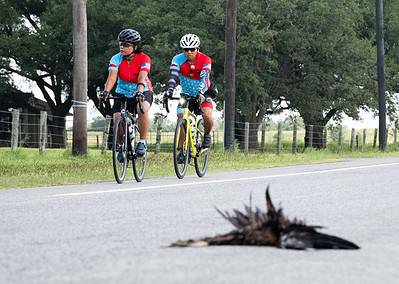 The 2023 Katy Flatland Century - Photo by F. Carter Smith / FCS Photos